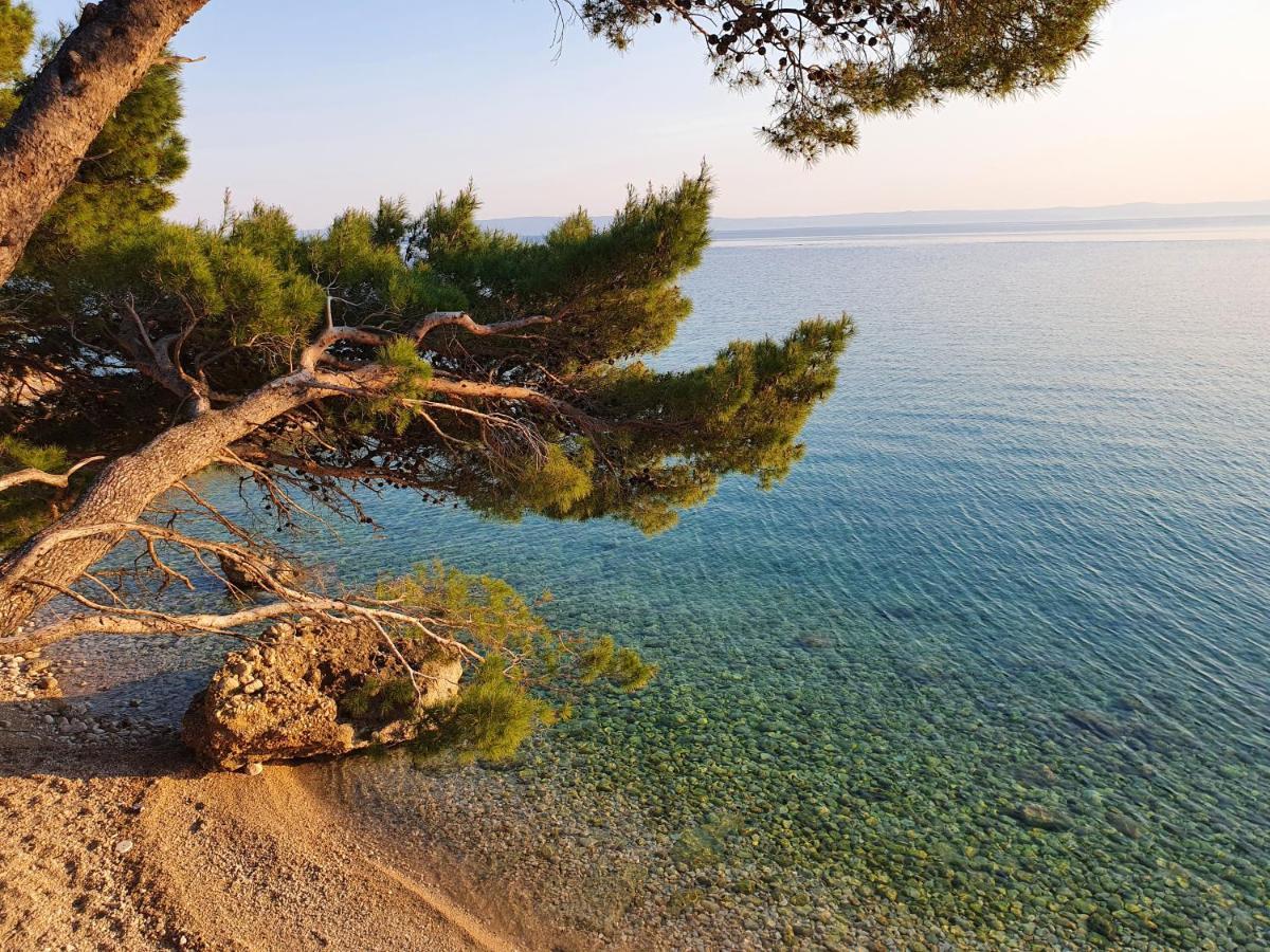 Villa La Vita Baška Voda Eksteriør billede
